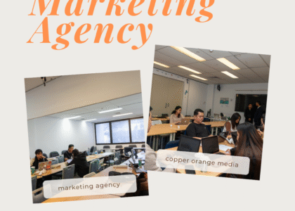 Team of digital marketing experts in Lahore working on SEO and online advertising strategies
